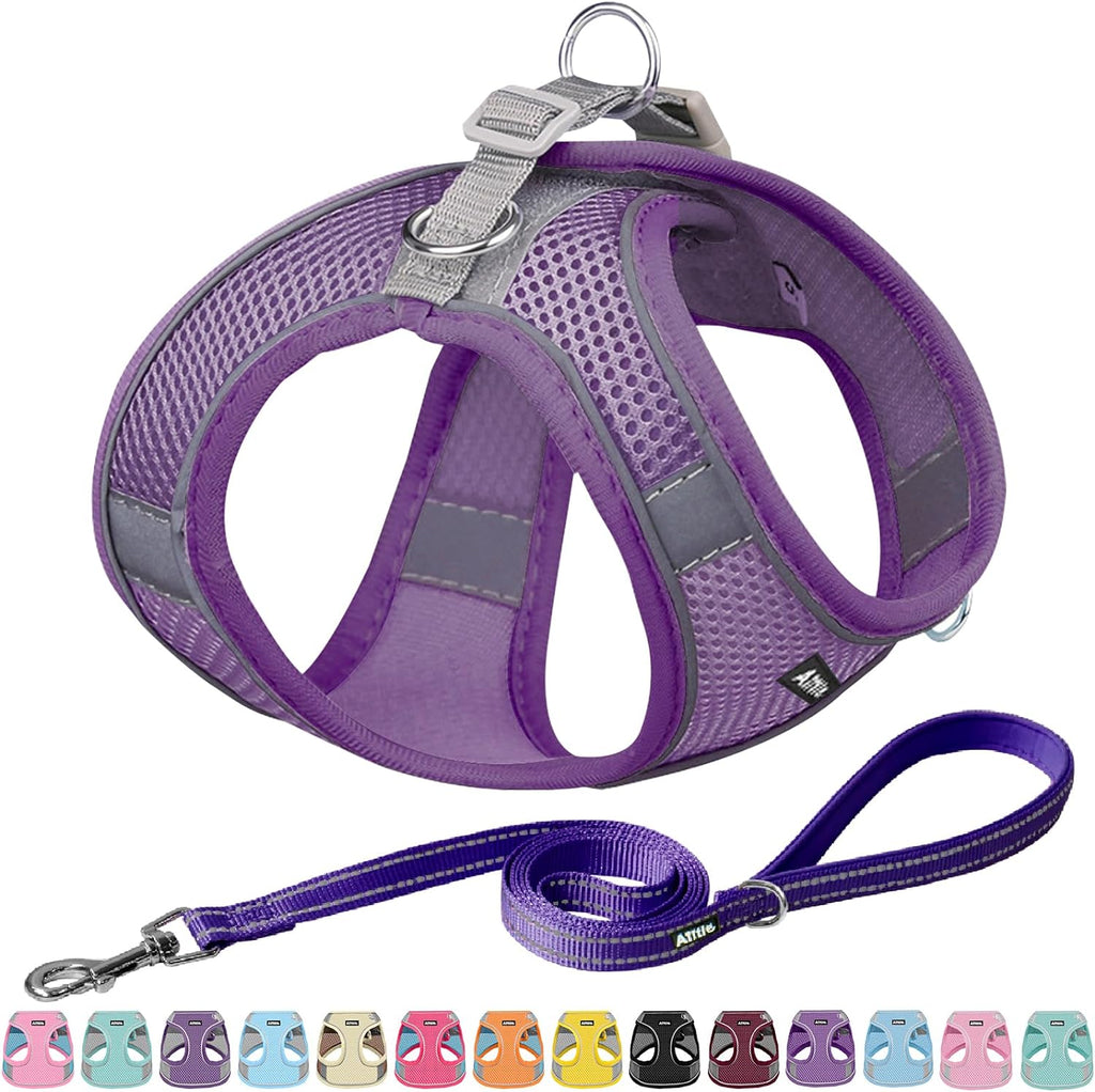 Pet Harness and Leash Set