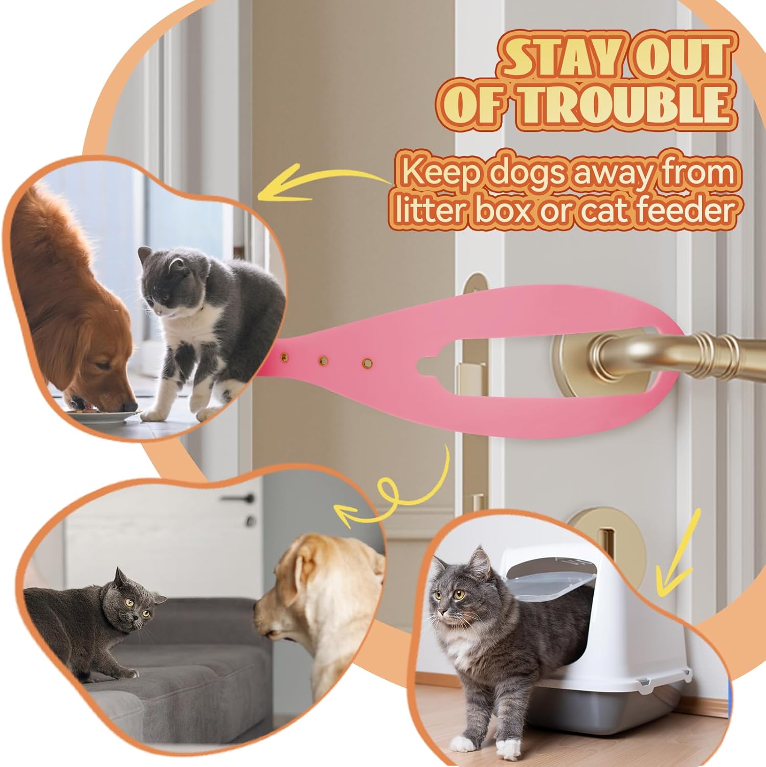 Cat Door Latch