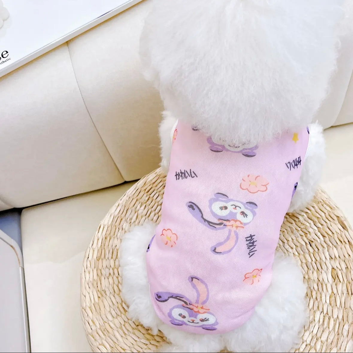 Small Dog Shirt Cute Puppy T Shirt Clothes