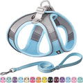 Pet Harness and Leash Set