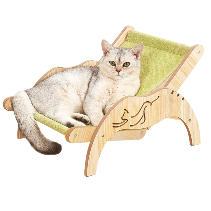 Cat Hammock Beach Chair
