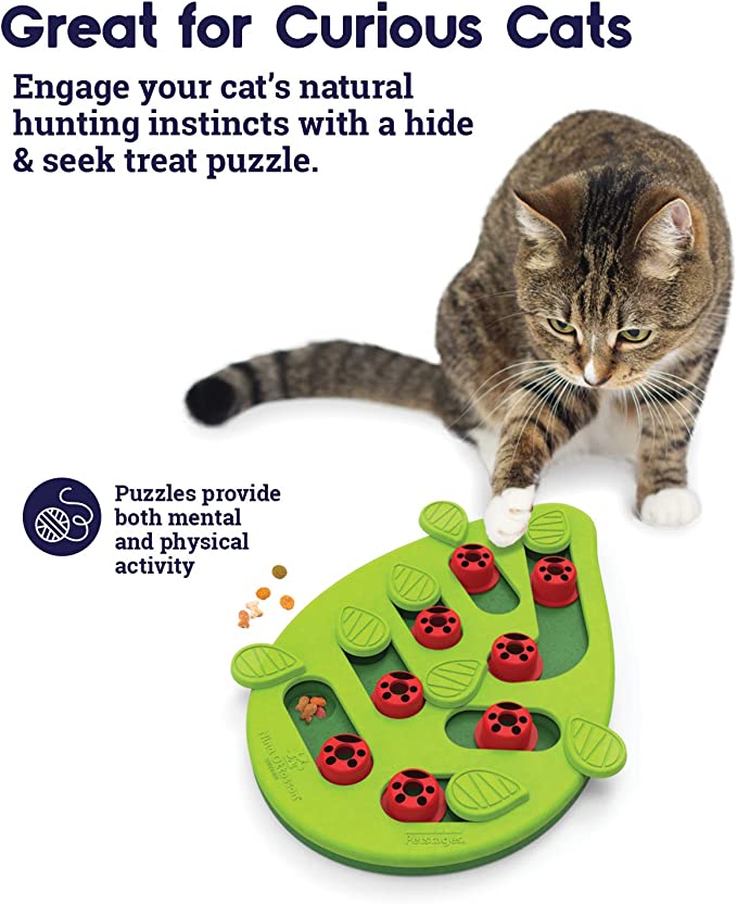 Interactive Cat Treat Puzzle