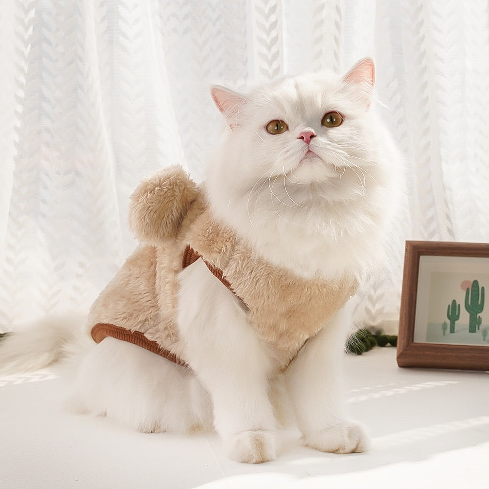 Clothes For Cat