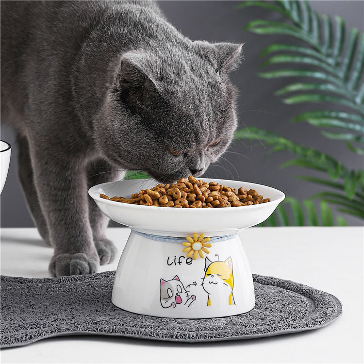Ceramic Bowl for cat
