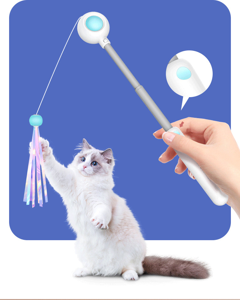 Retractable Cat Wand