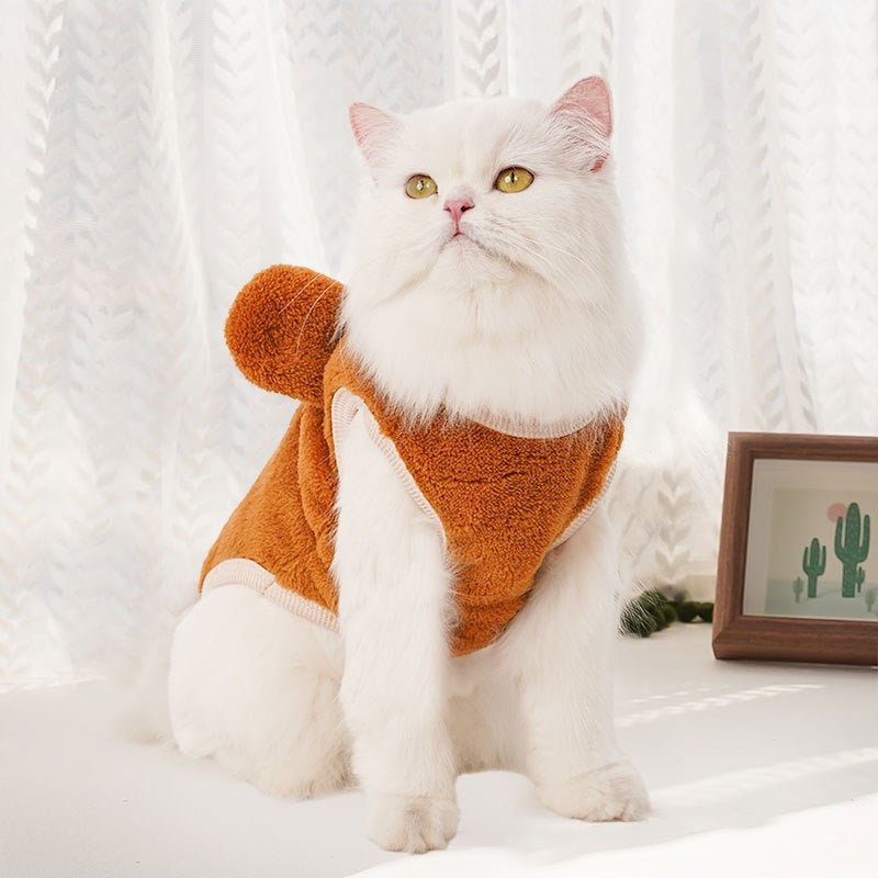 Clothes For Cat
