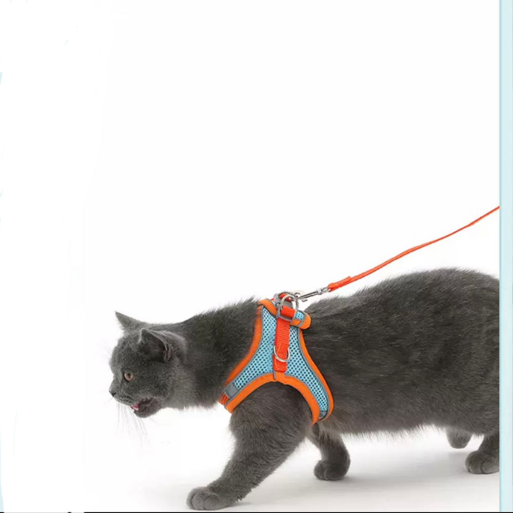 Pet Harness and Leash Set