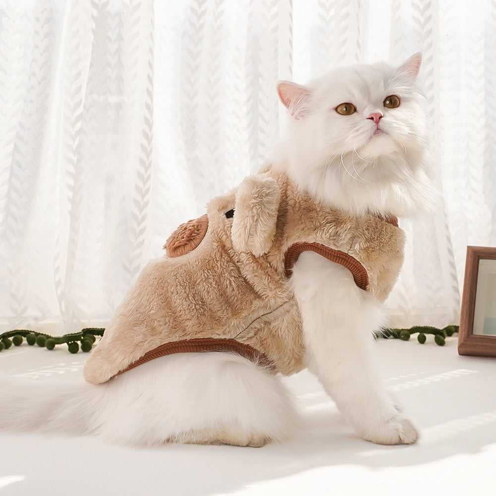Clothes For Cat