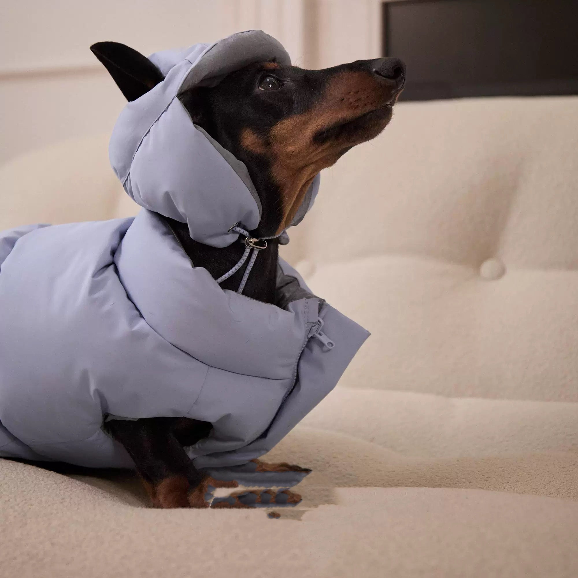 Reversible Dog Puffer down hat- Blue & Silver Design