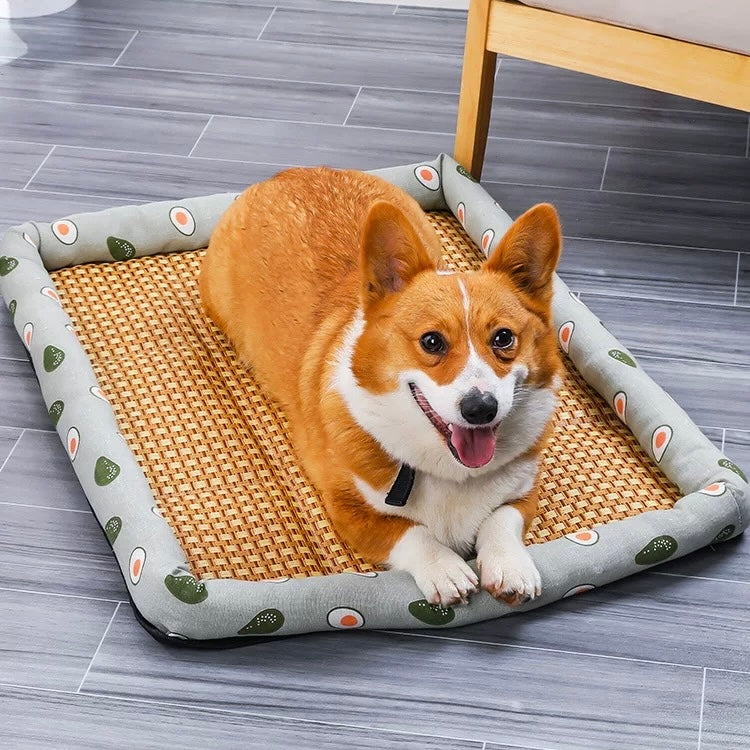 Ice Rattan Cooling Bed for Cats Dogs
