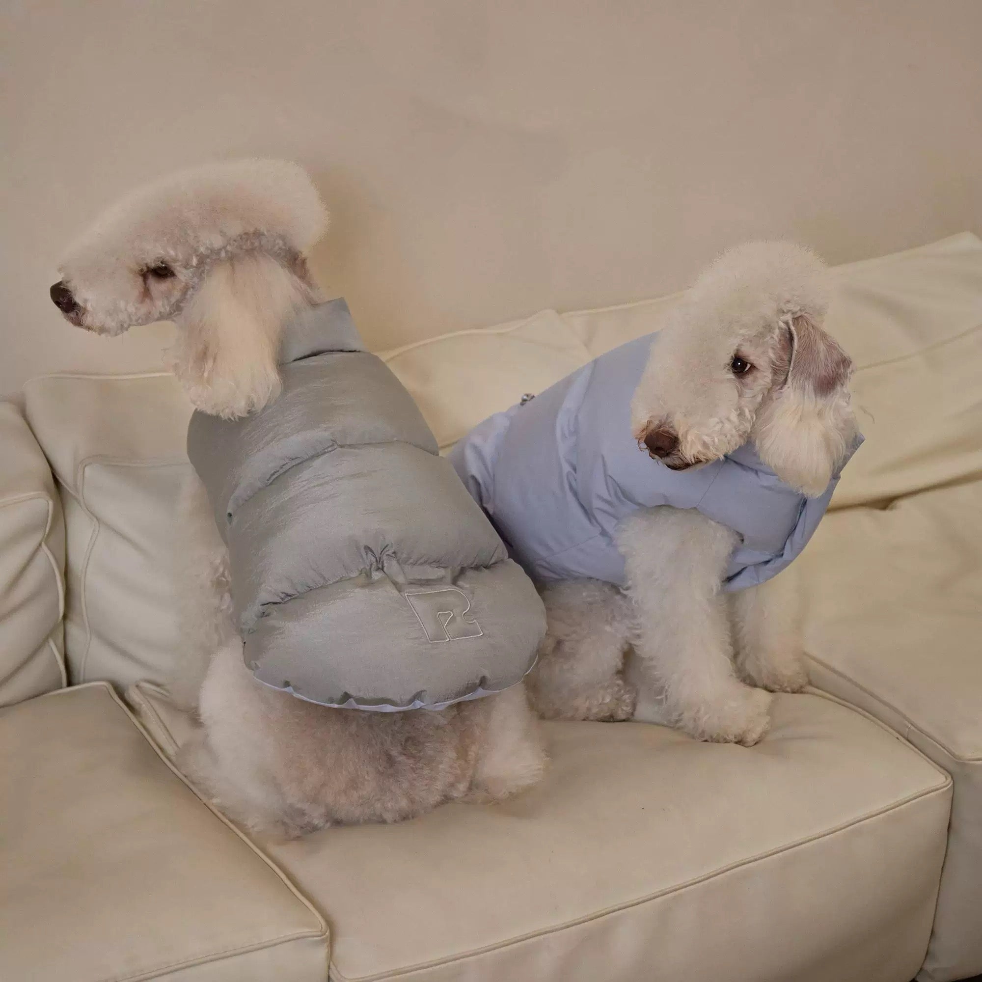 Reversible Dog Puffer Jacket - Blue & Silver Design