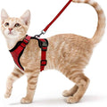 Cat Adjustable Strips Vest