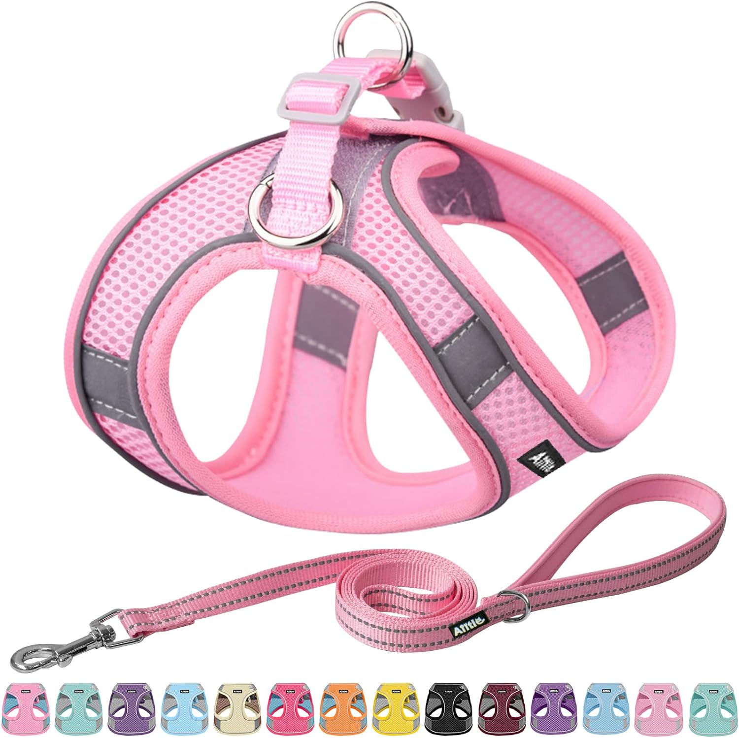 Pet Harness and Leash Set