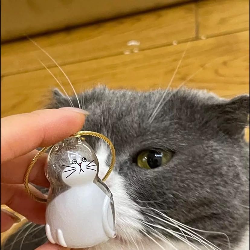 Custom Cat Hair Keychain – Personalized Pet Fur Keepsake Memorial Gift