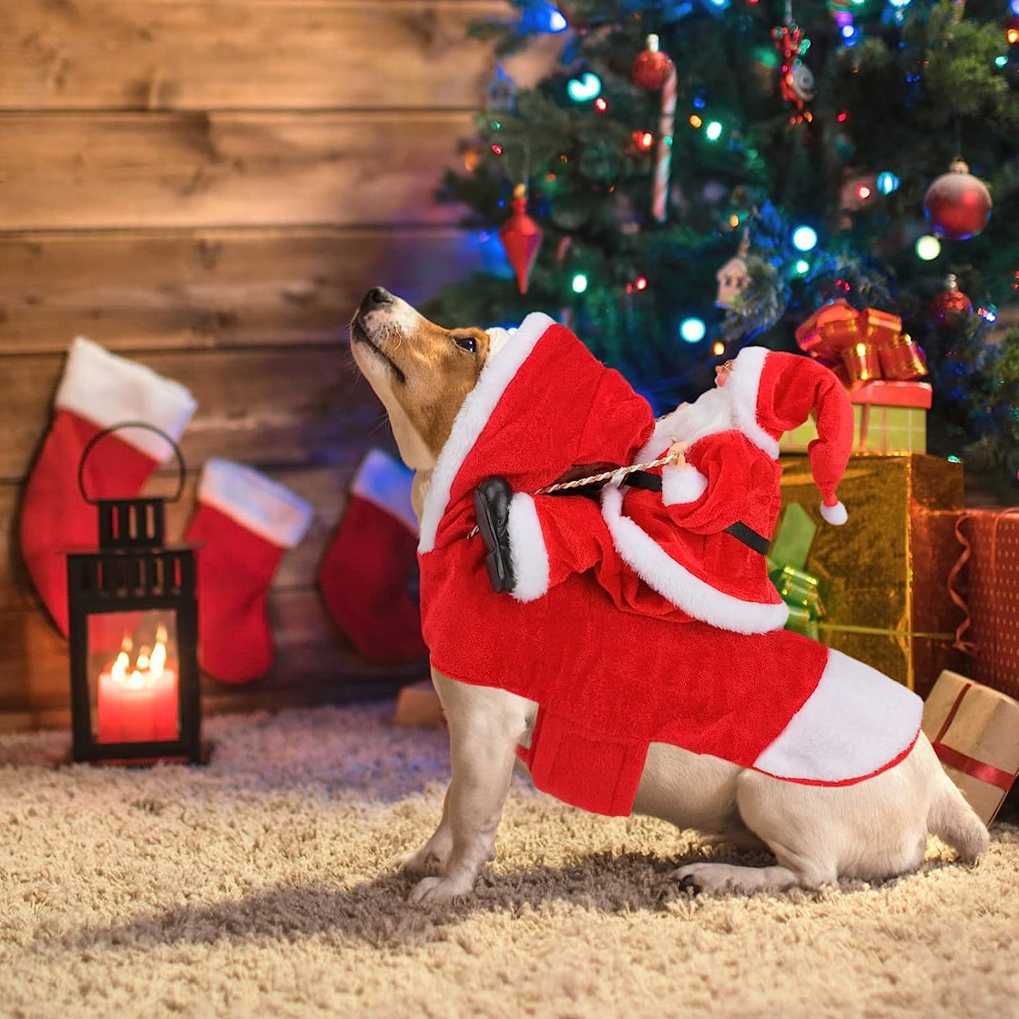 Santa Dog Costume Christmas Pet Clothes