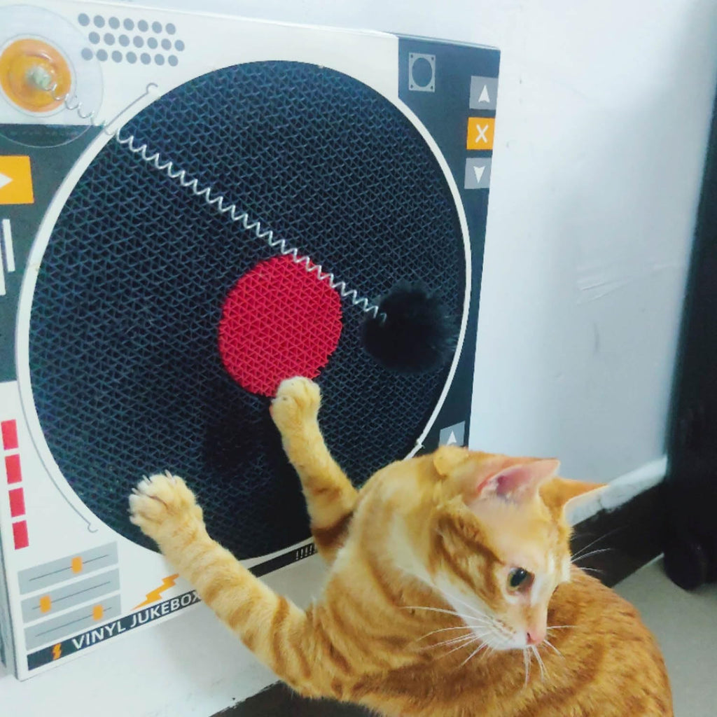 Record Player Cat Scratcher - Cardboard Cat Scratch Pad Cat Dj Scratching Board