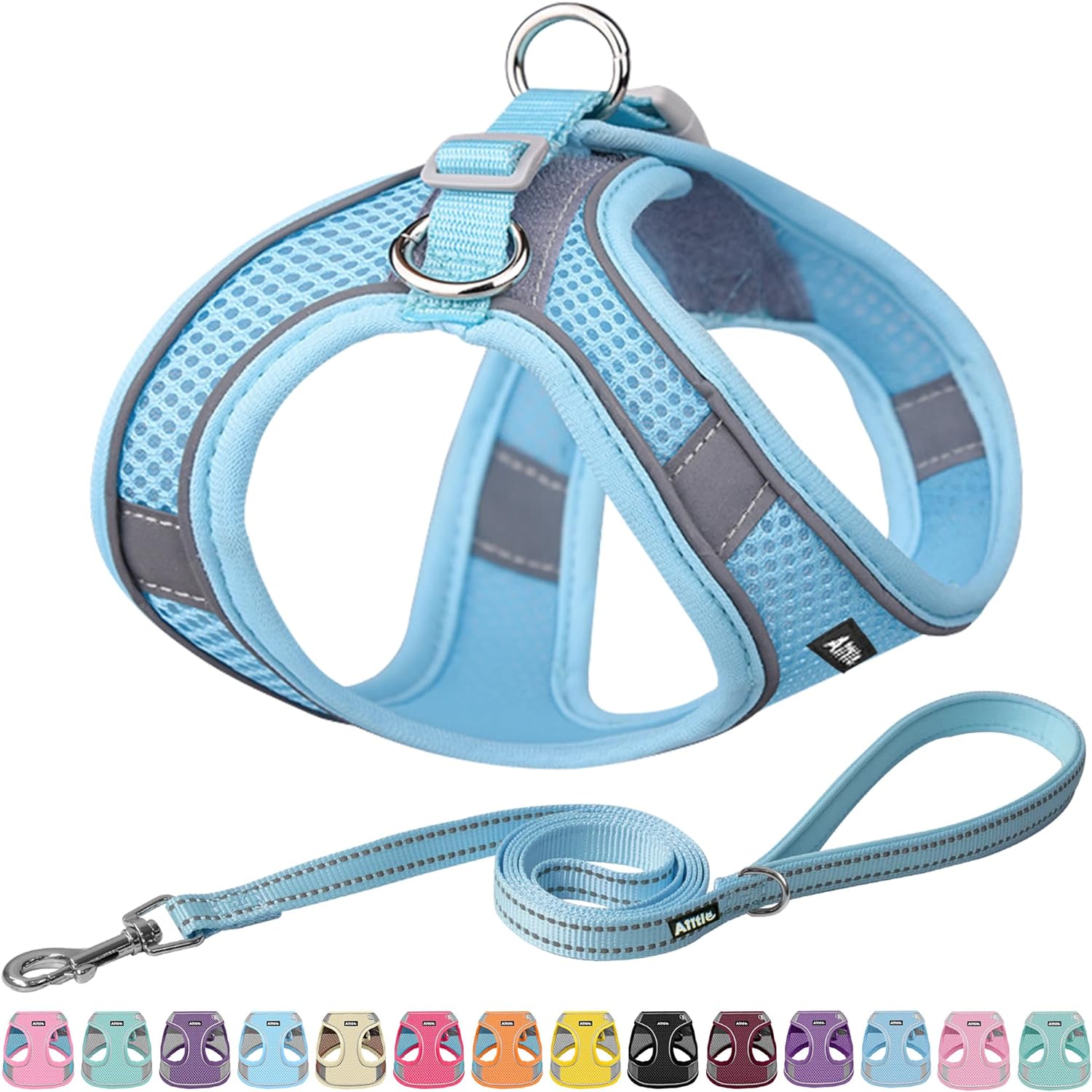 Pet Harness and Leash Set