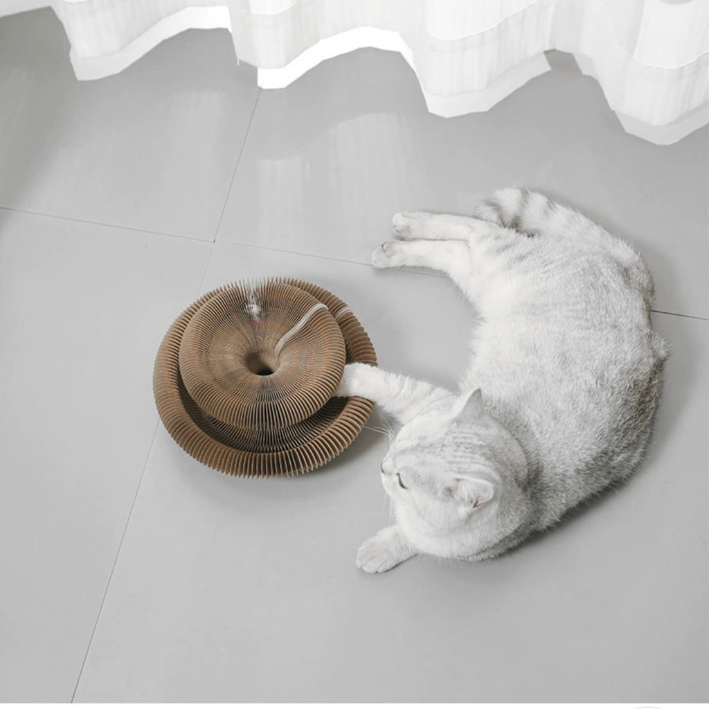 Magic Organ Cat Scratching Board With Playing Ball