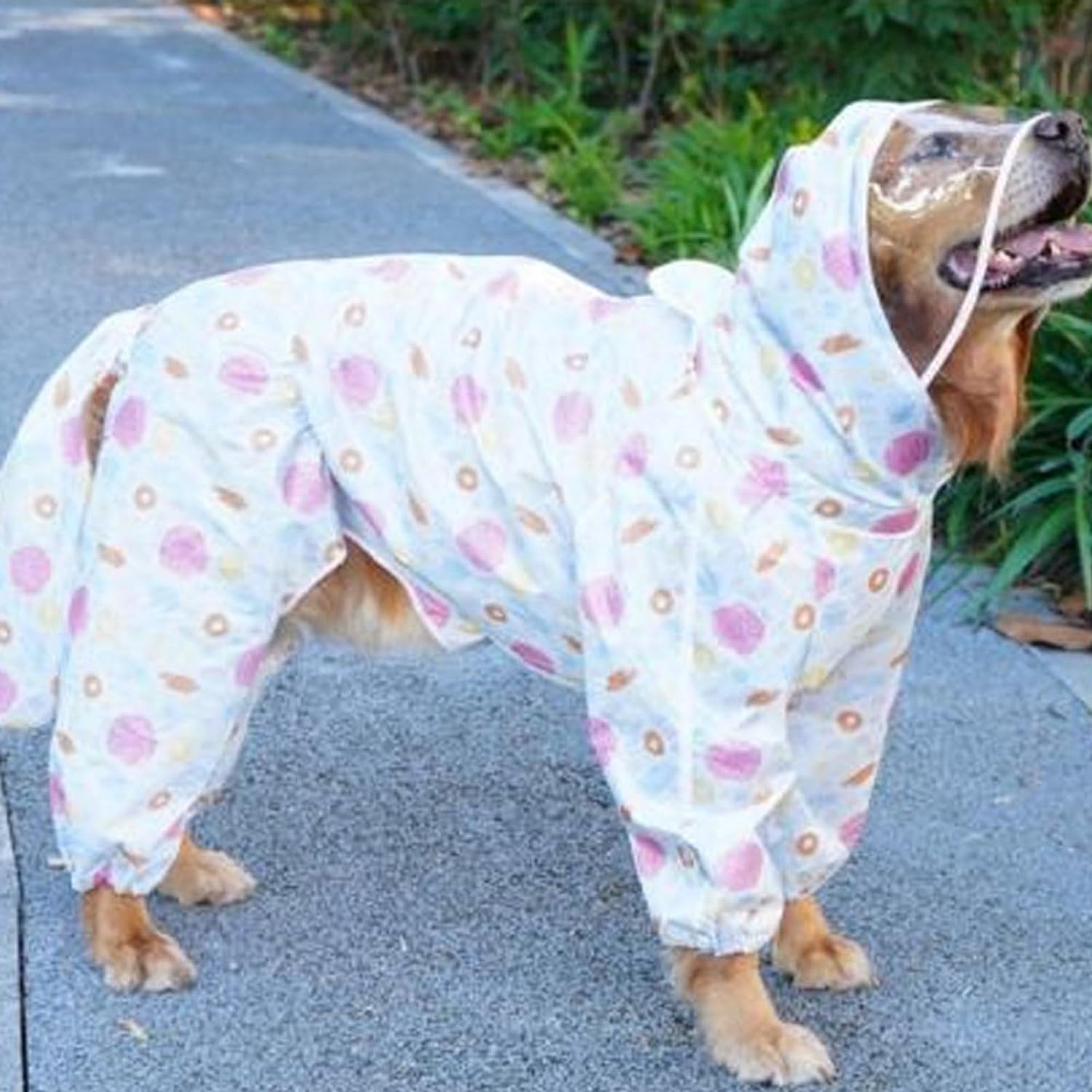 Dog Rain Clothes, Transparent Brim Large Dog Raincoat