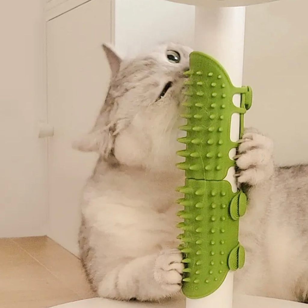 Cat Self Groomer Corner Scratcher