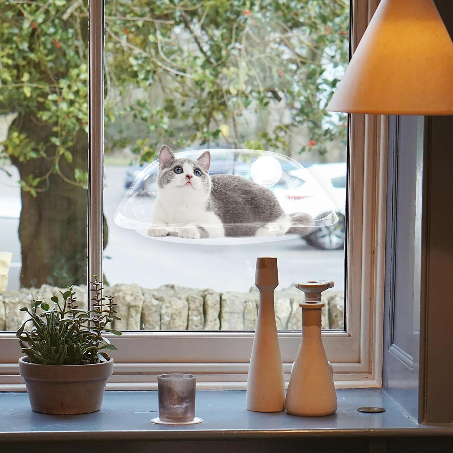 Cat Window Perch