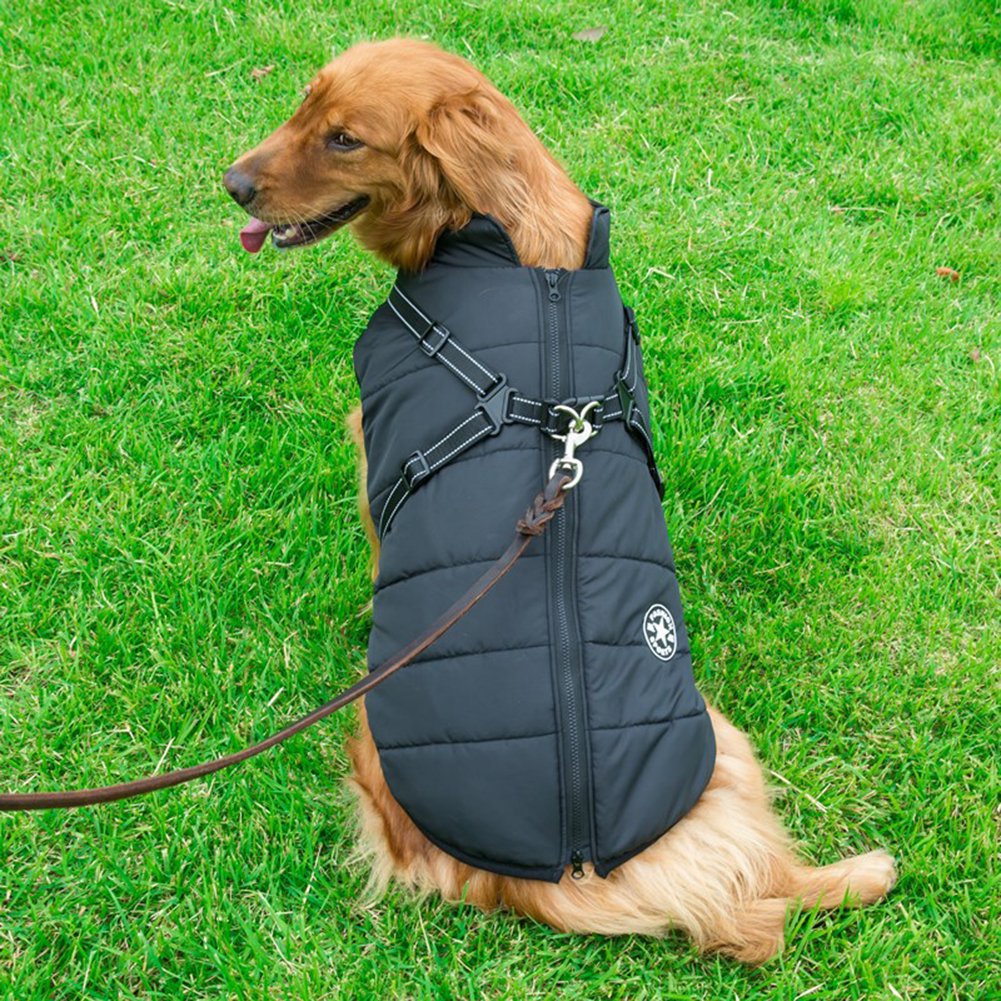 Pawovy™ - Waterproof Winter Jacket with Built-in Harness