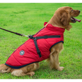 Pawovy™ - Waterproof Winter Jacket with Built-in Harness