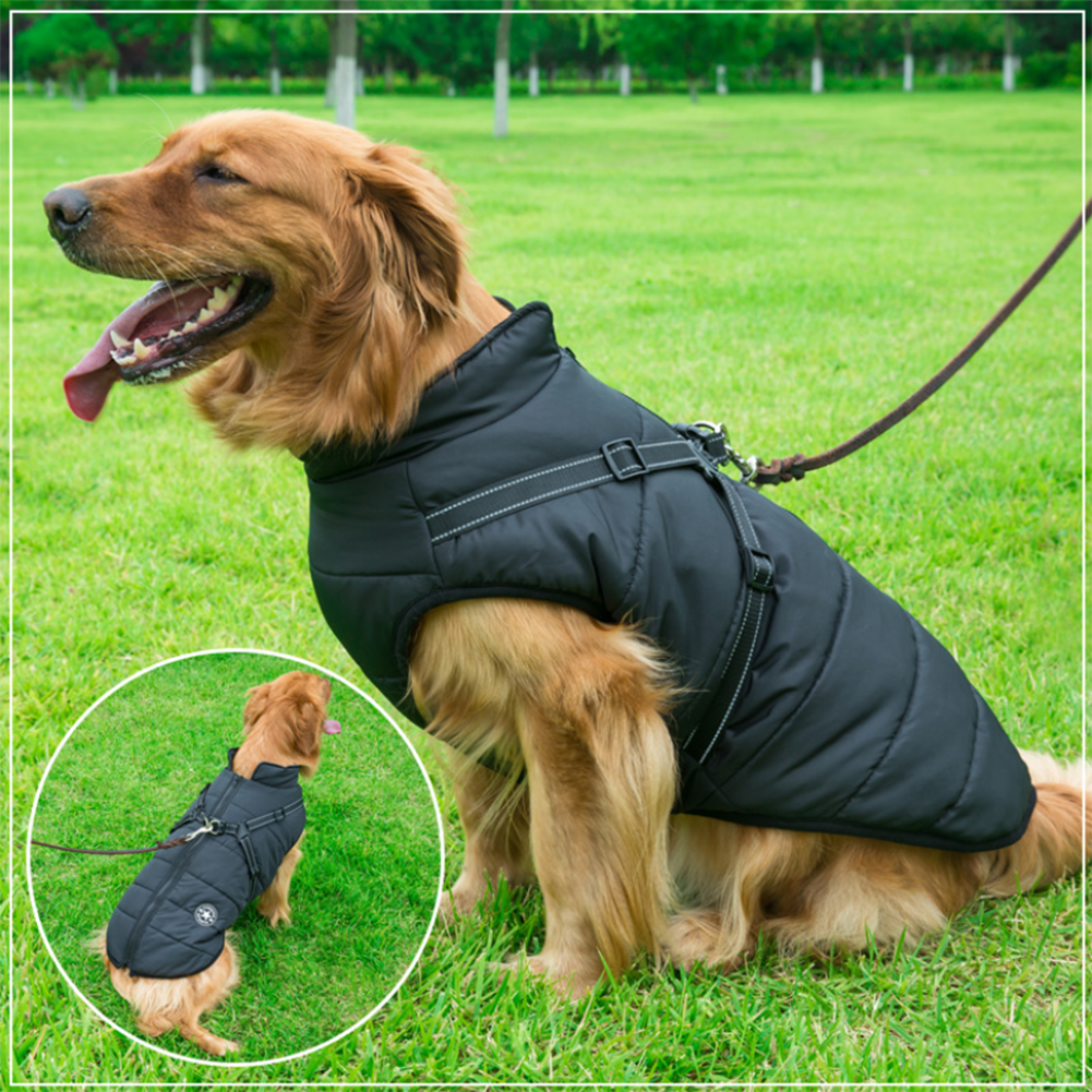Pawovy™ - Waterproof Winter Jacket with Built-in Harness